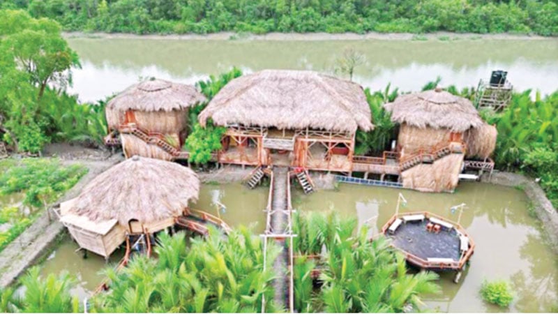 সুন্দরবনের জীববৈচিত্র্য হুমকির মুখে